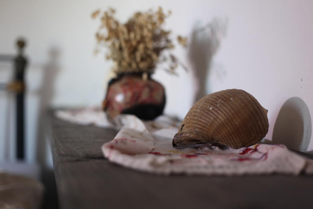Ayvalı Mahzen Hotel חדר תמונה